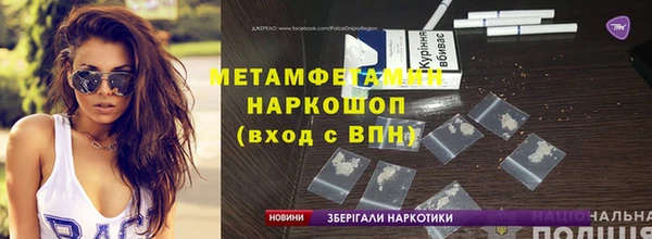 прущие грибы Володарск