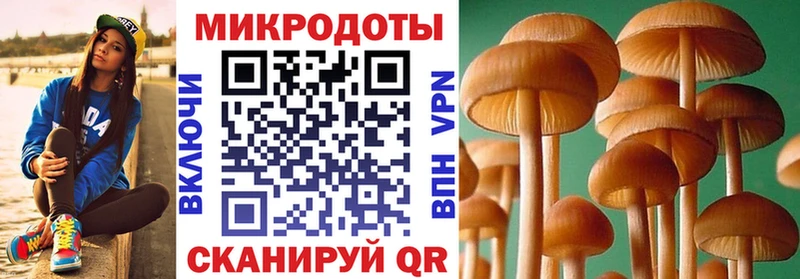 Псилоцибиновые грибы Psilocybine cubensis  Кимры 